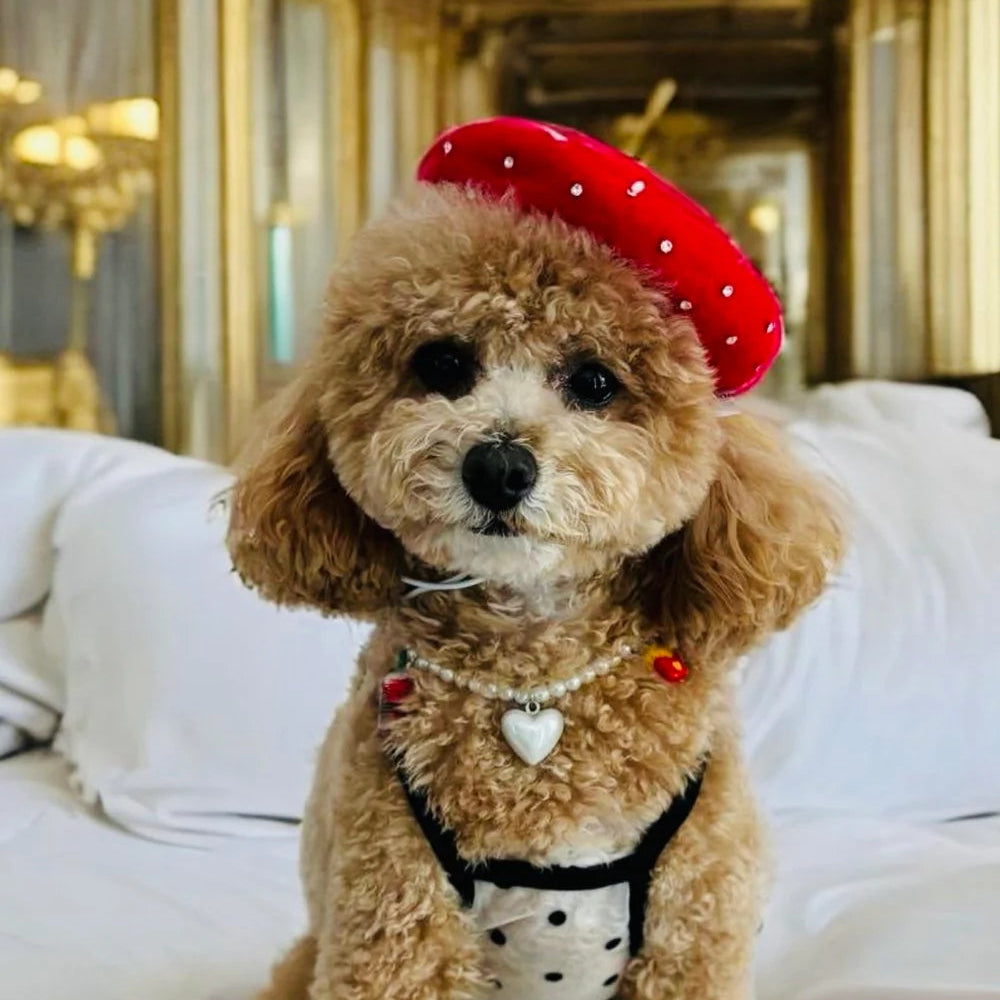 Pearl and Prince Red Pet Beret with Rhinestones