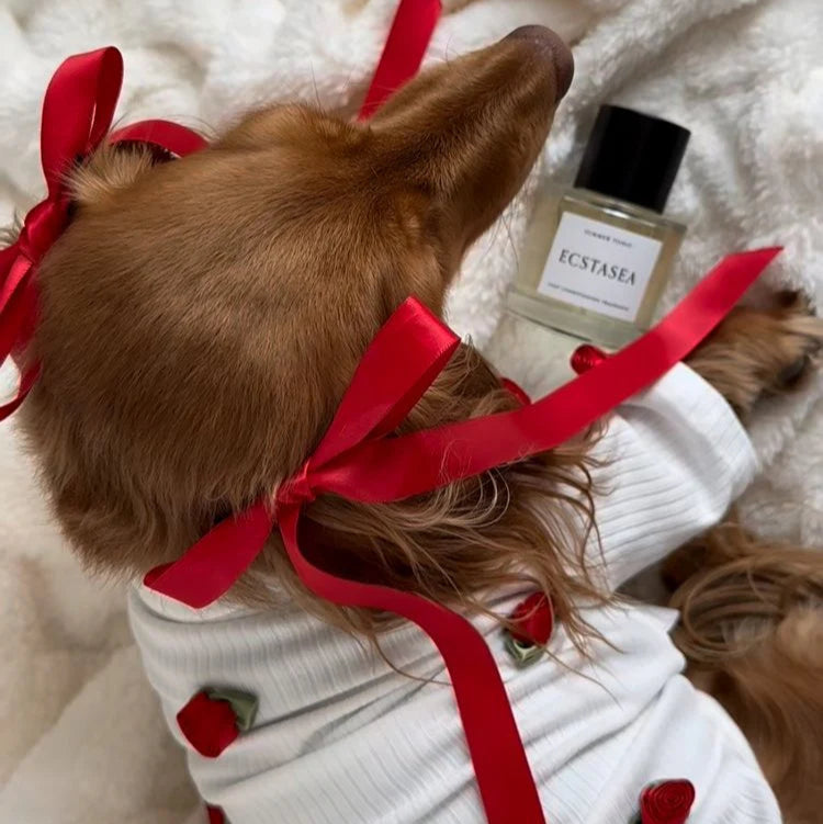 Pearl and Prince Rosebud Pet Sweater