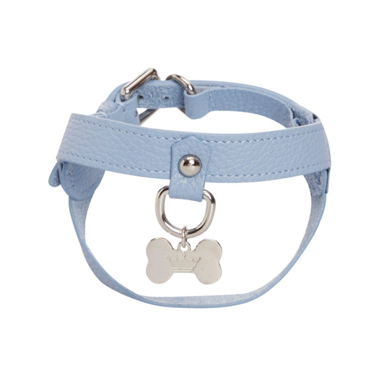 Maltipoo World Leather Harness, Light Blue