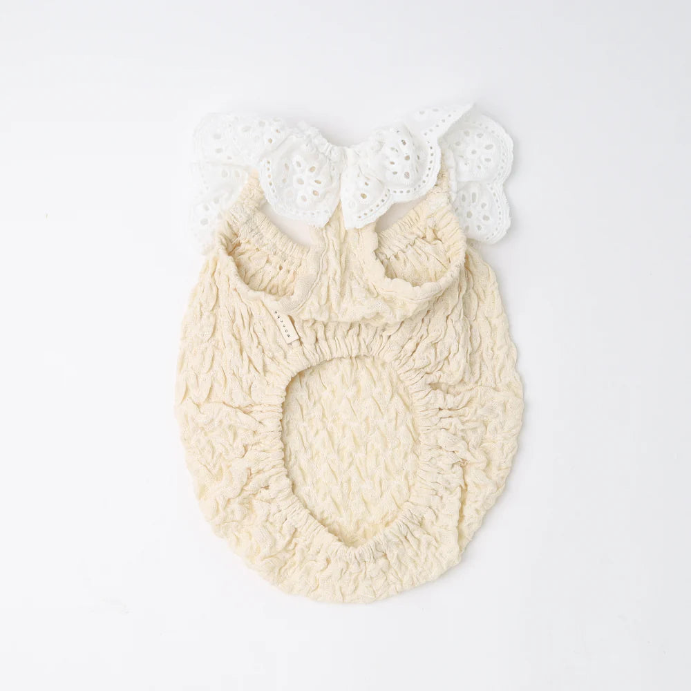 Moncheri Cool Ruffled Ribbon Top, Ivory