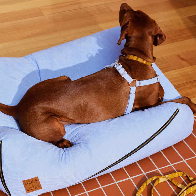 Nice Digs Cord Non-pull Dog Harness, Forget Me Not
