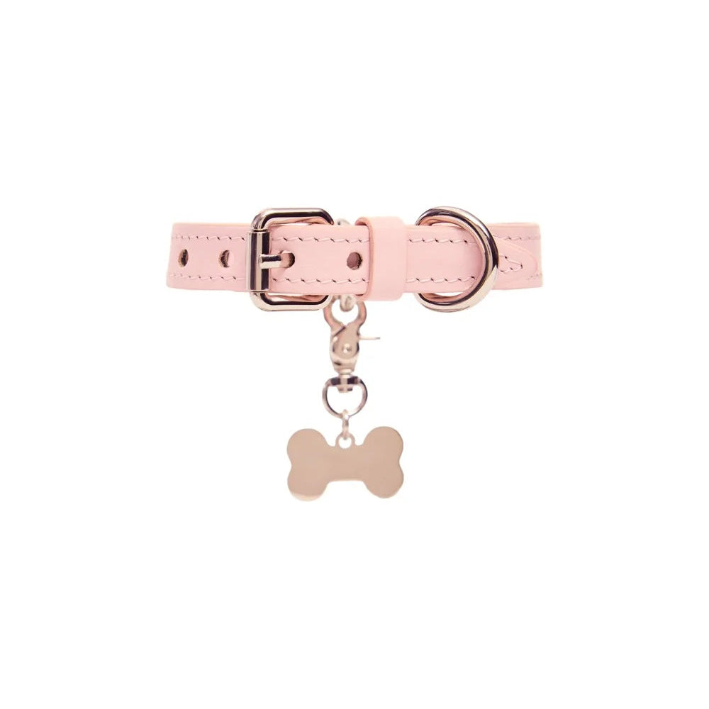 Maltipoo World Easy Collar, Pink