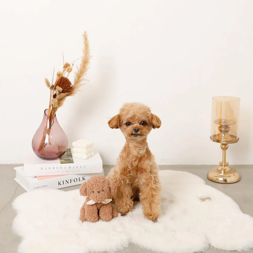 Moncheri Plush Dog Toy, Brown