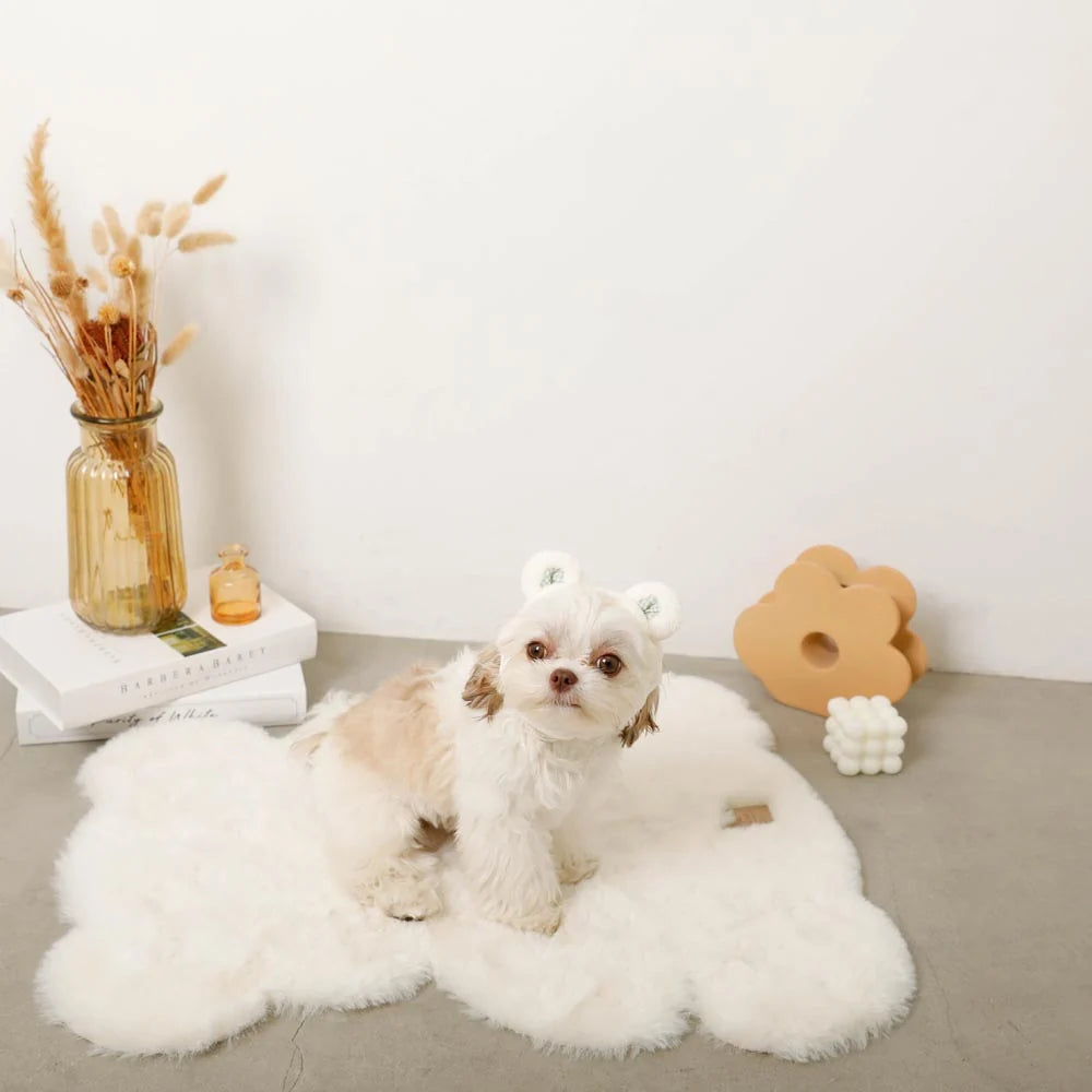 Moncheri Bear Hair Band, Ivory