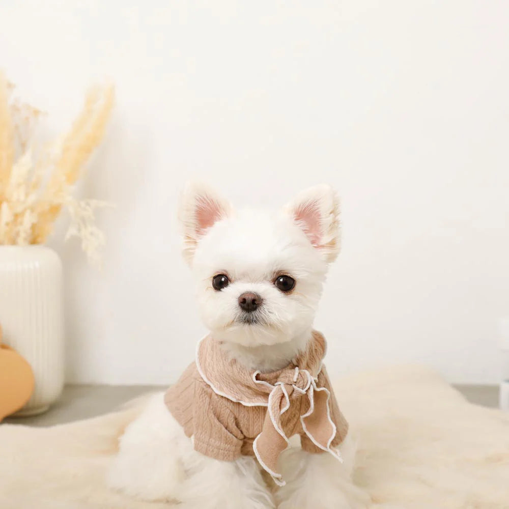 Moncheri Neck Ribbon Bicolor Mellow Top, Beige