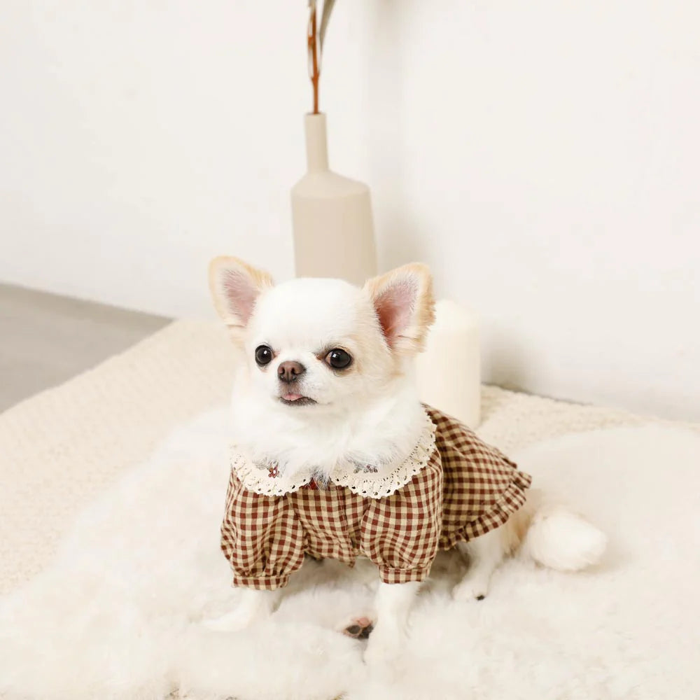 Moncheri Gingham Check Dress with Flower Collar Embroidery, Brown