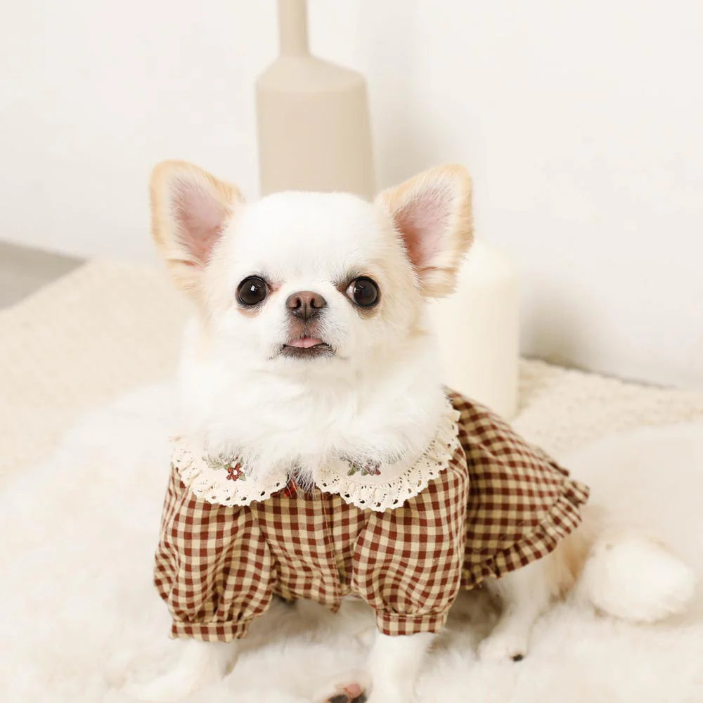 Moncheri Gingham Check Dress with Flower Collar Embroidery, Brown