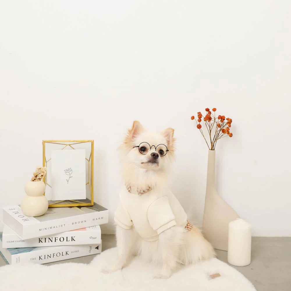 Moncheri Shirt Docking Biscuit Embroidery Top, Ivory