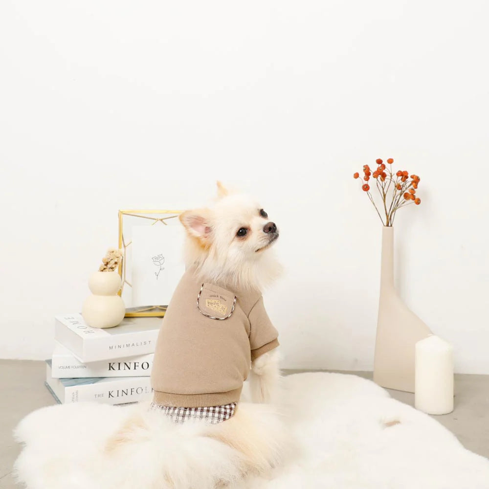 Moncheri Shirt Docking Biscuit Embroidery Top, Mocha
