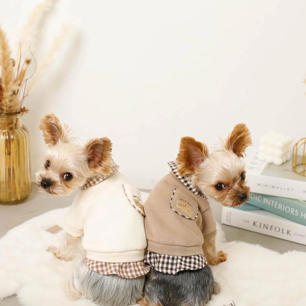 Moncheri Shirt Docking Biscuit Embroidery Top, Mocha