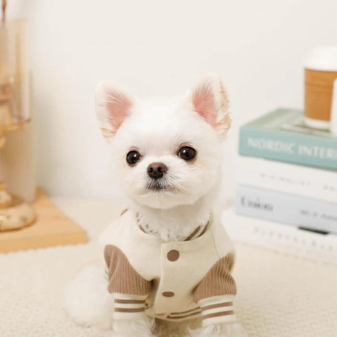 Moncheri Stadium Jacket with Patch, Beige