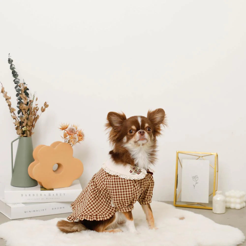 Moncheri Gingham Check Dress with Flower Collar Embroidery, Brown