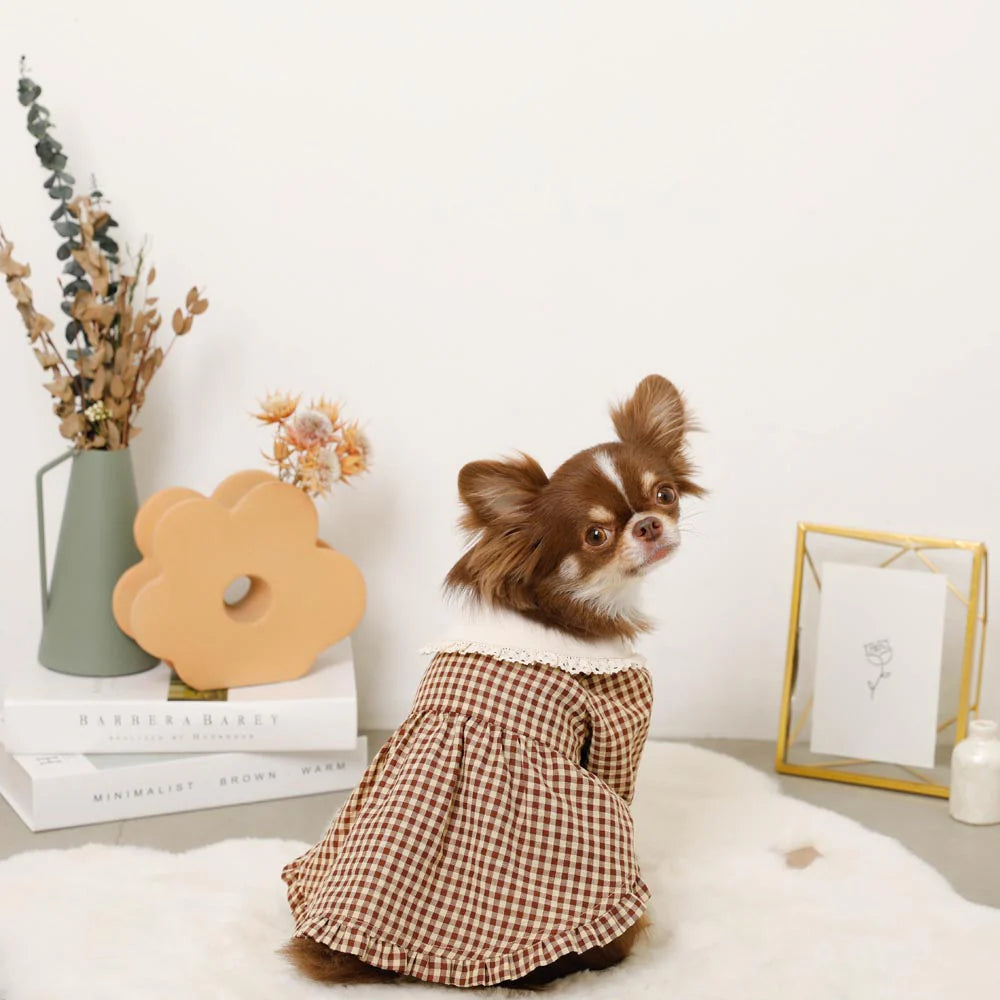 Moncheri Gingham Check Dress with Flower Collar Embroidery, Brown