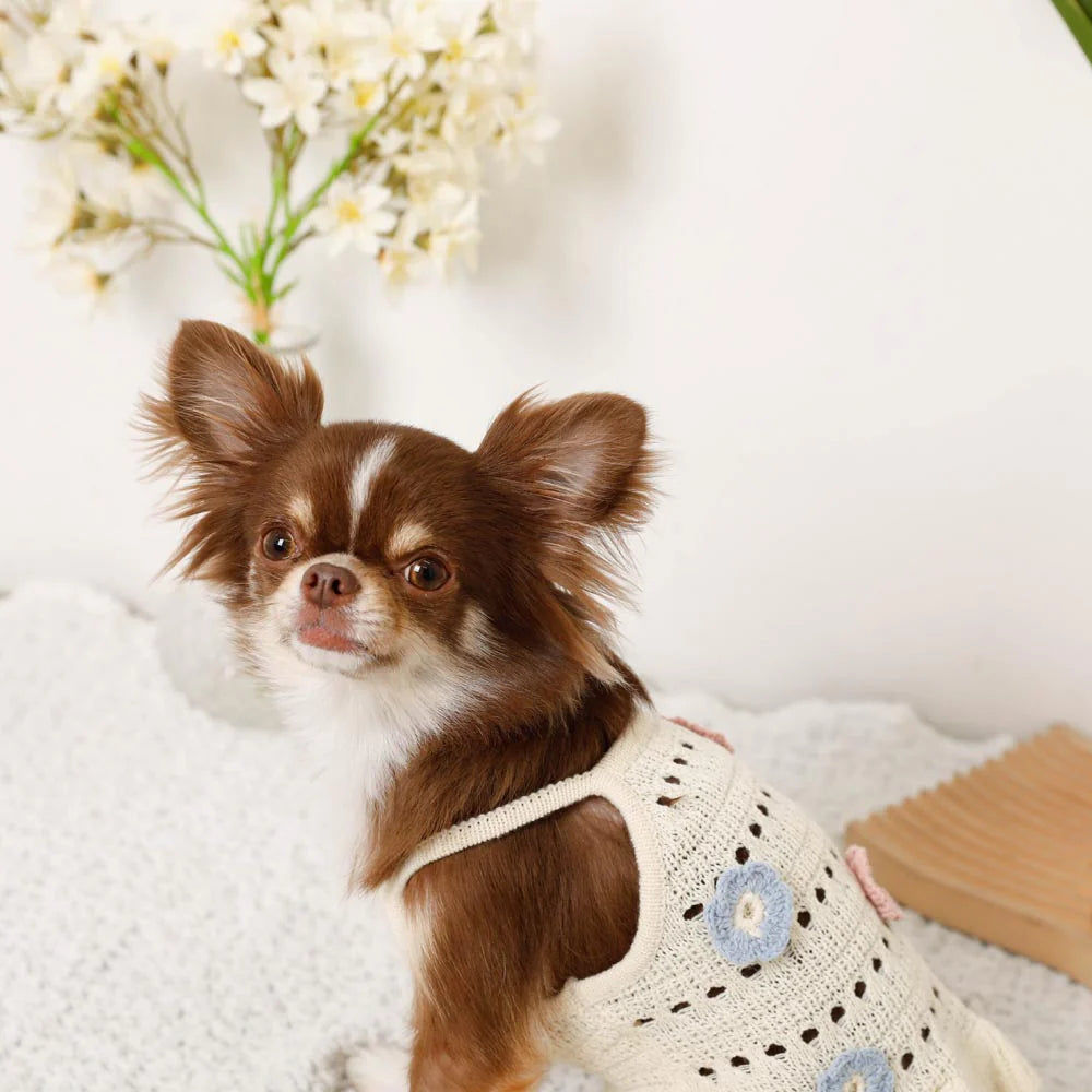 Moncheri Flower Motif Summer Knit Dress, Ivory