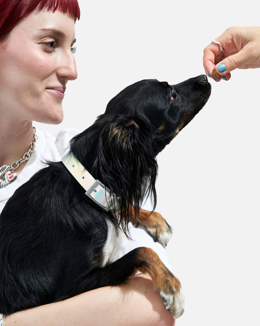 Wild One Collar, Lunar