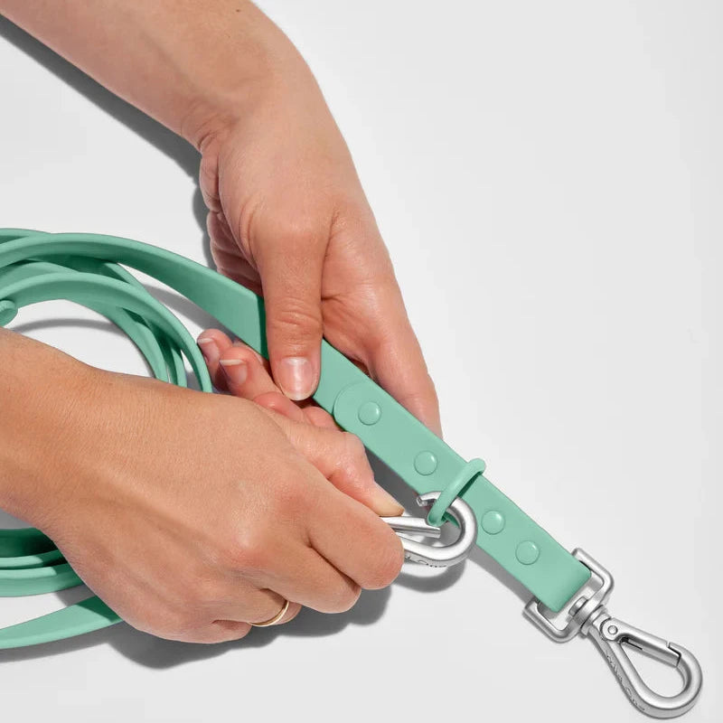 Wild One Leash, Seafoam