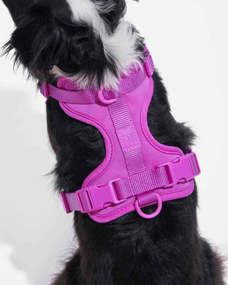 Wild One Harness, Orchid
