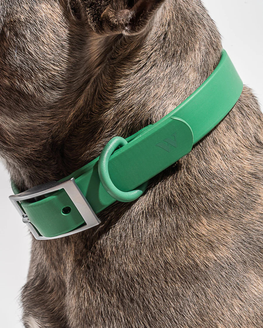 Wild One Collar, Spruce