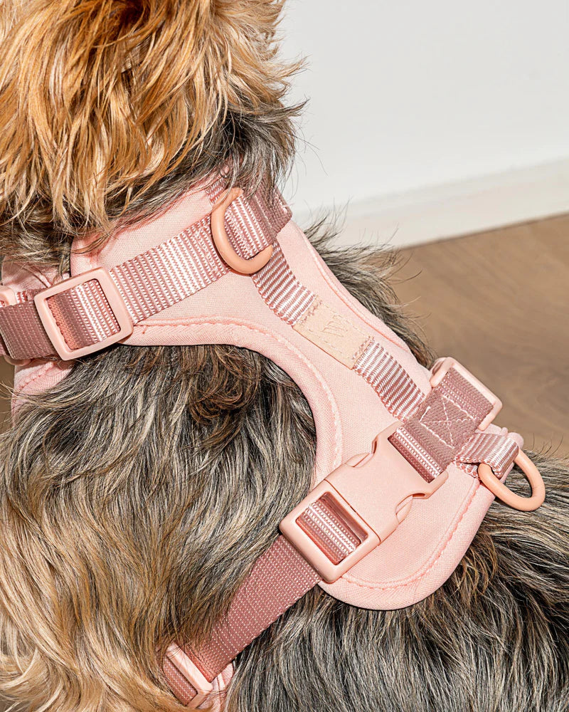 Wild One Harness, Blush