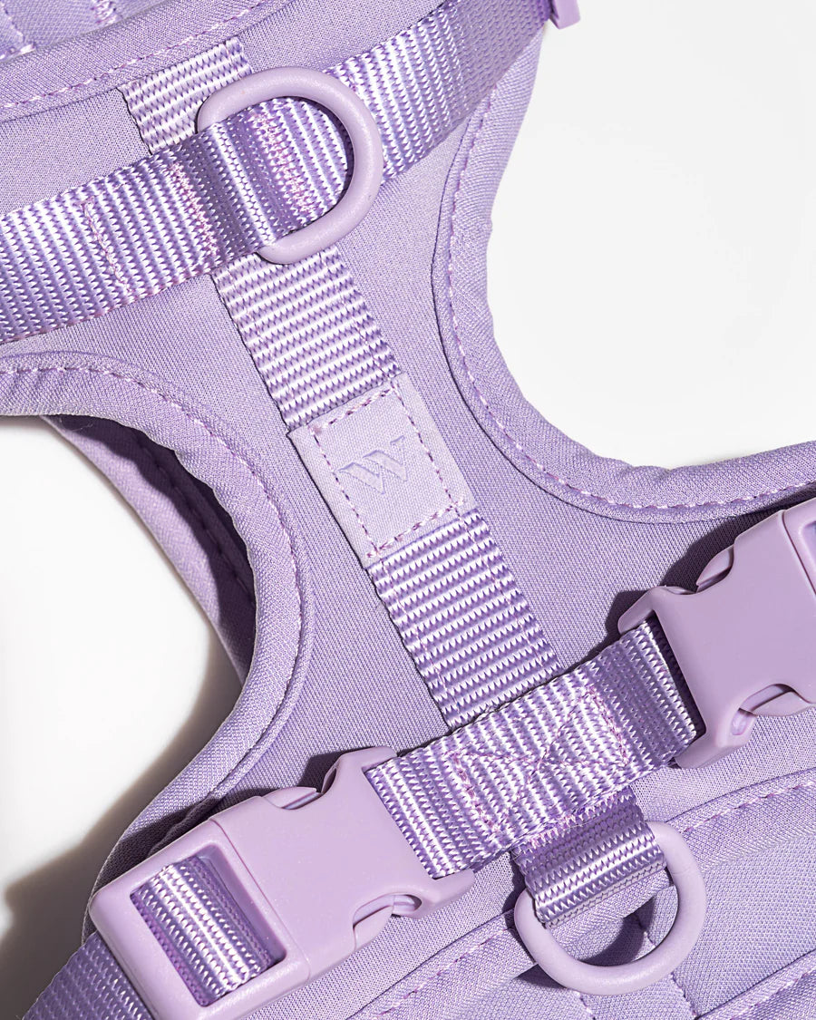 Wild One Harness, Lilac
