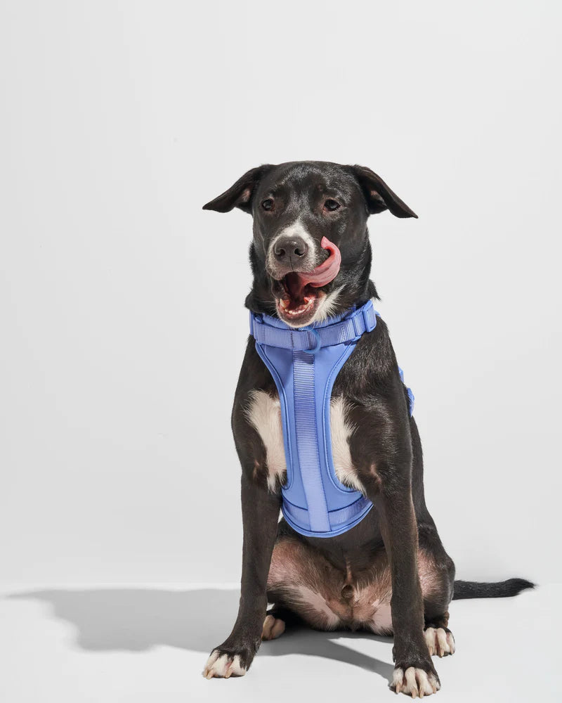 Wild One Harness, Moonstone