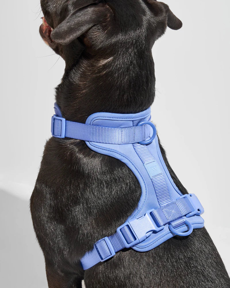 Wild One Harness, Moonstone
