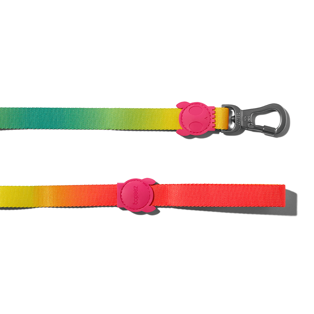 Zee.Dog Citrus Leash